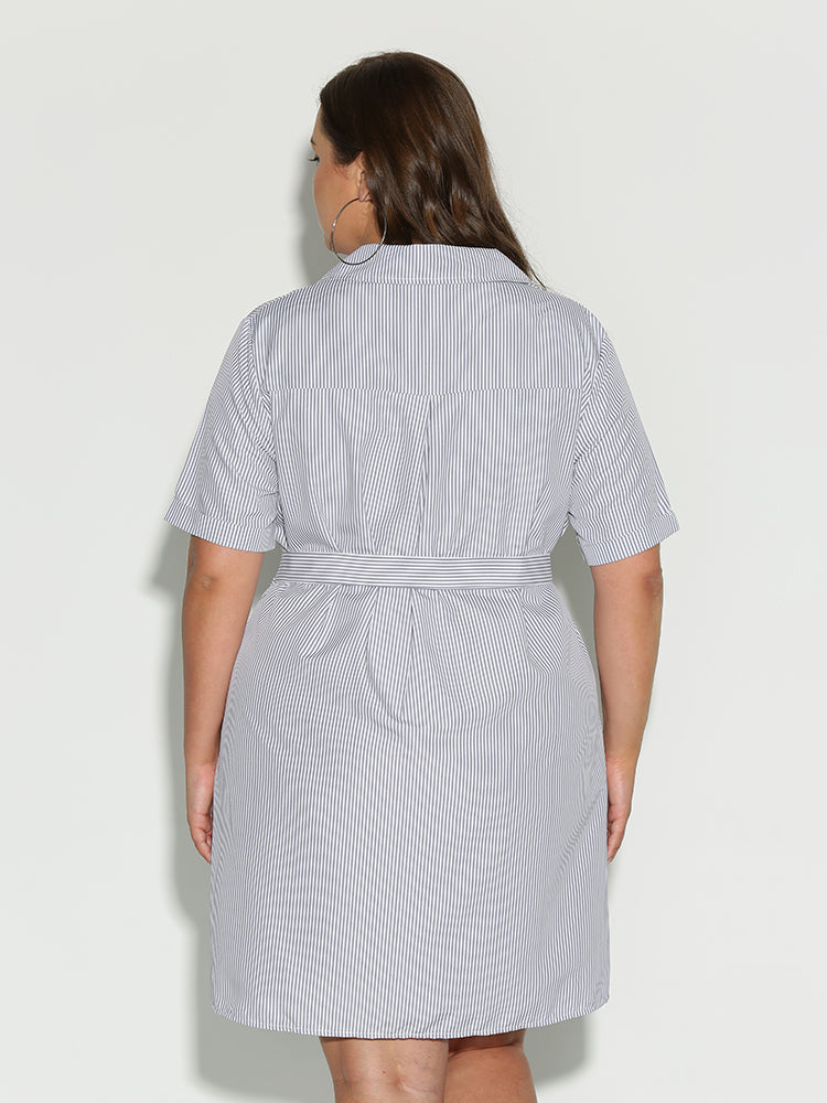 Button Collar Lapel Dress