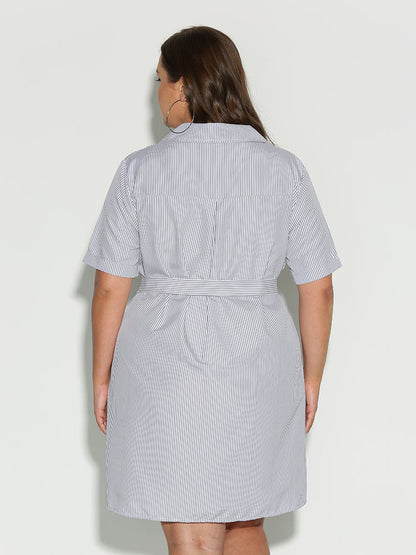 Button Collar Lapel Dress