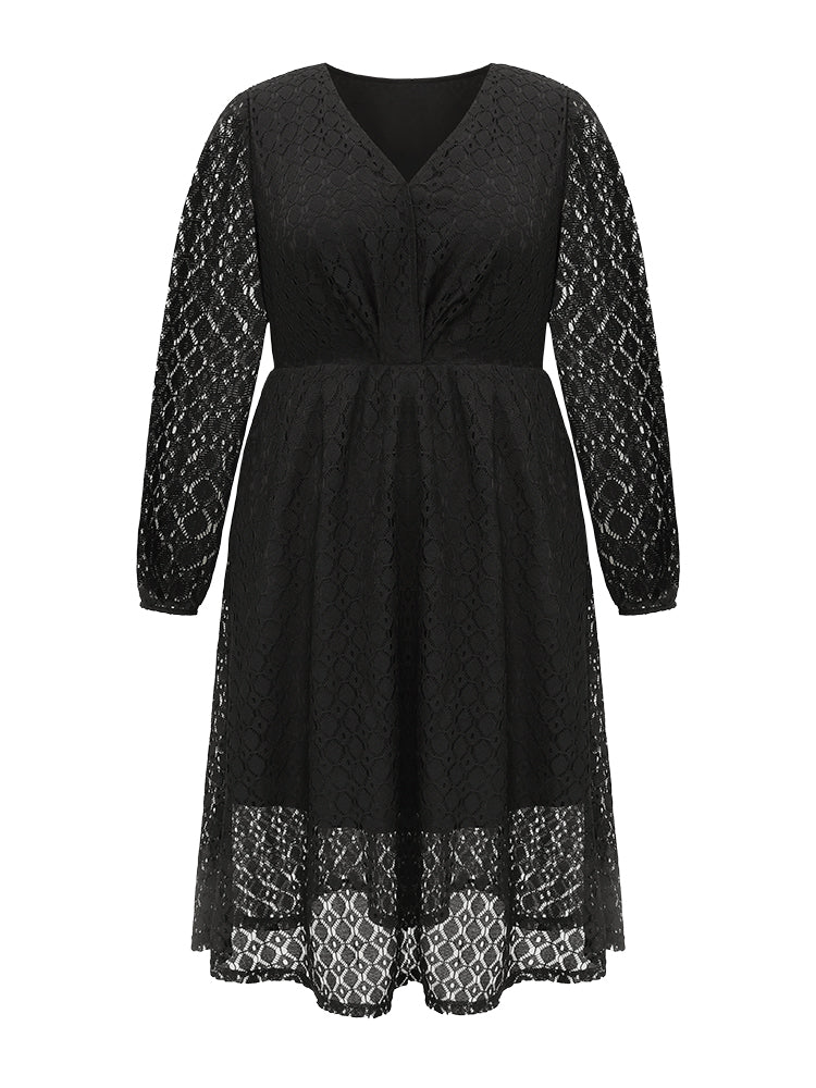 Lace Panel Overlap Collar Mesh Dress