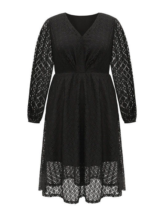 Lace Panel Overlap Collar Mesh Dress