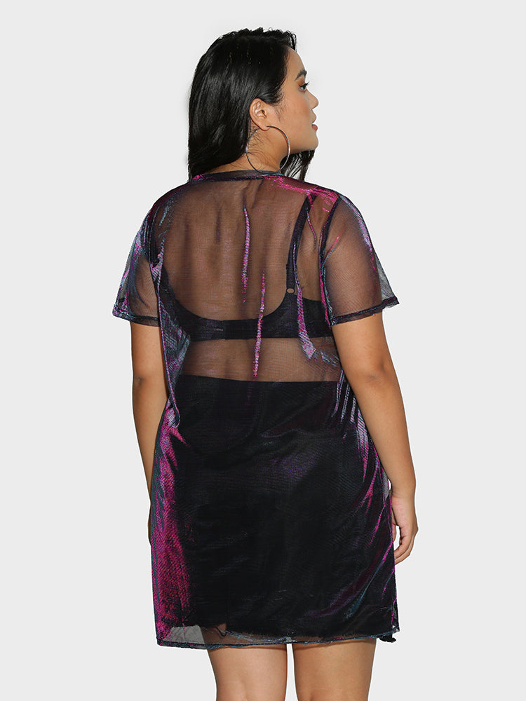 Crew Neck Reflective Mesh Sheer Dress