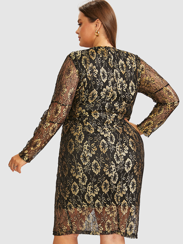 Floral Pattern Lace Sheer Bodycon Dress