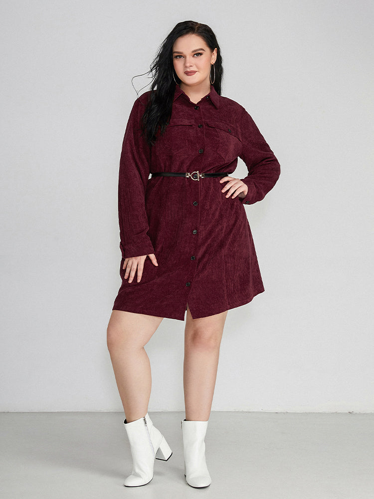 Button Shirt Collar Regular Dress