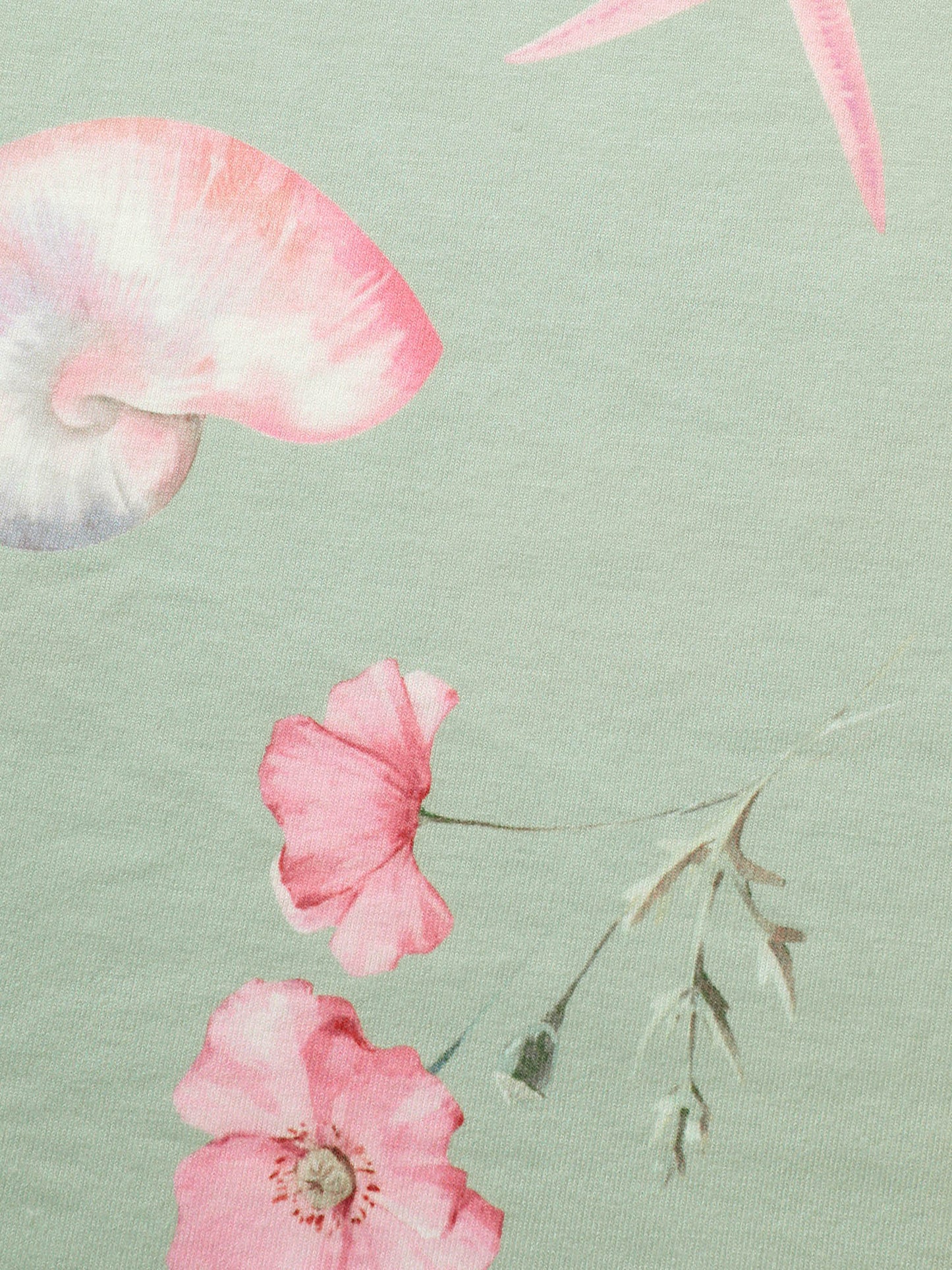 c6fc248c-989b-4eb5-a341-42e7ed0ab2d4