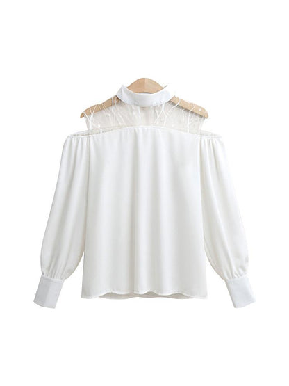 Mesh Patchwork Lantern Sleeve Blouse
