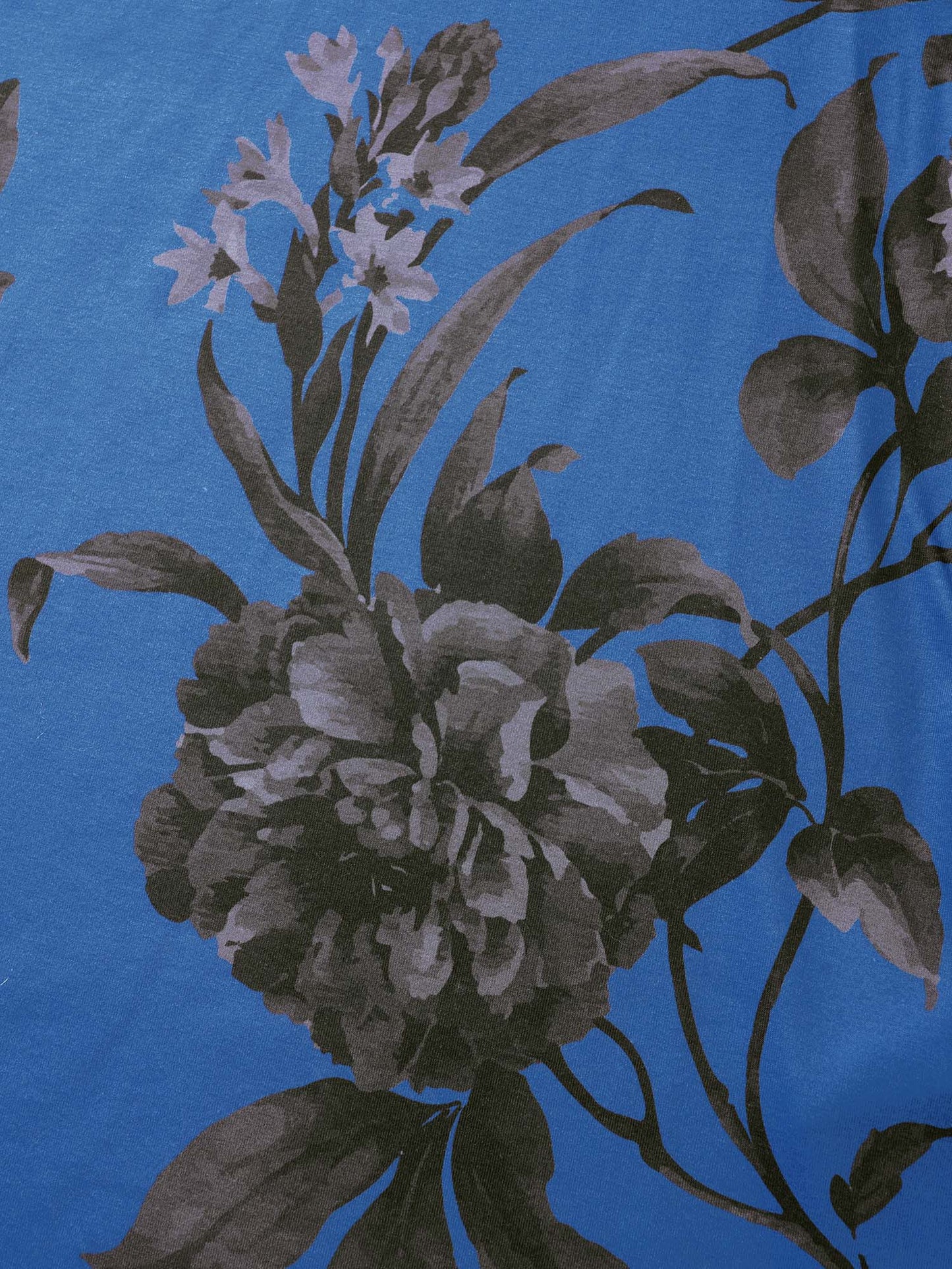 c16ac81a-6ae6-478a-b734-557e64bdd0b7