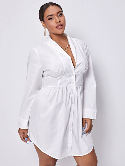 Shawl Collar Curved Hem Shirt Dress