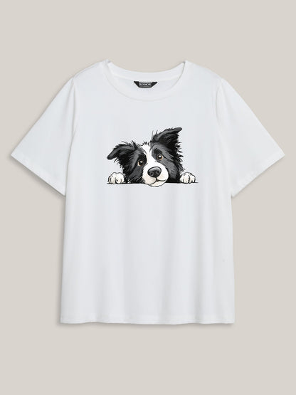 084bb175-aa96-4aa4-a5ab-ac904aff2b22