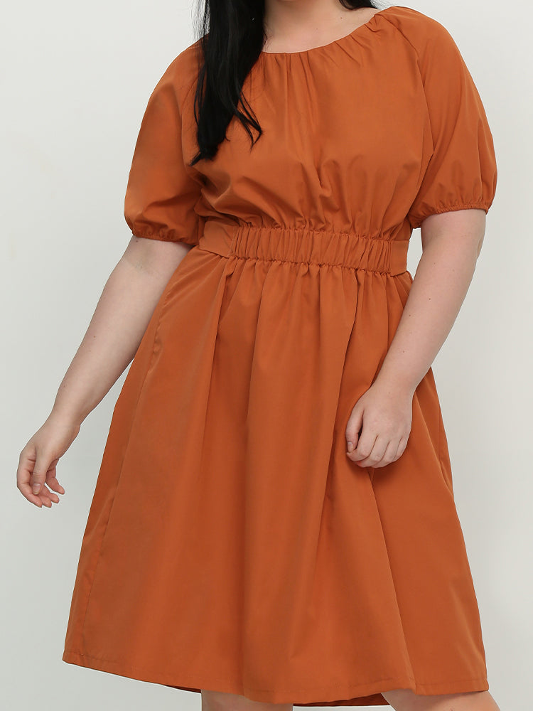 Shirred Waist Puff Sleeve Dress