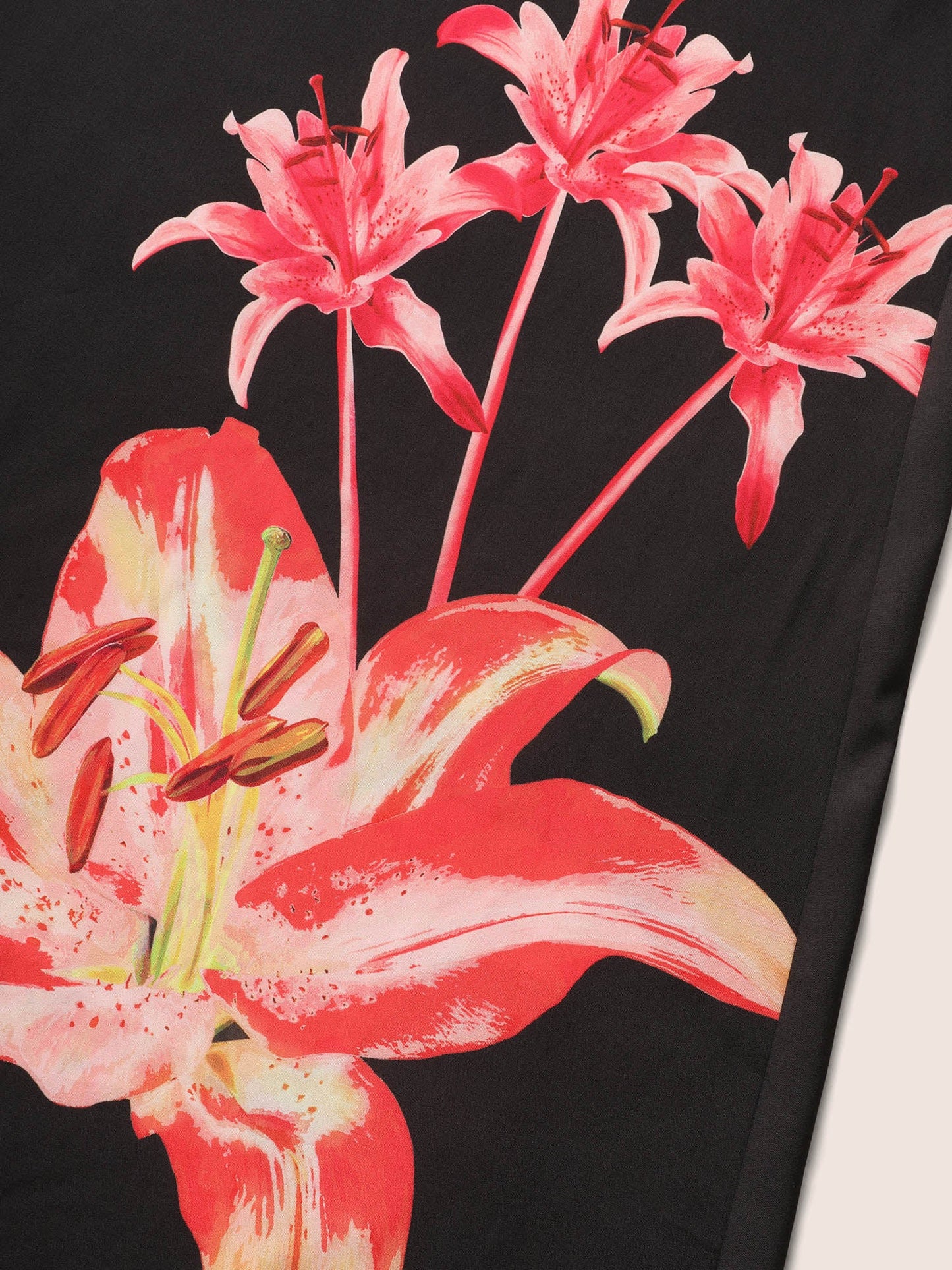 5337a8a5-b904-4e93-8a49-04dfe2041157