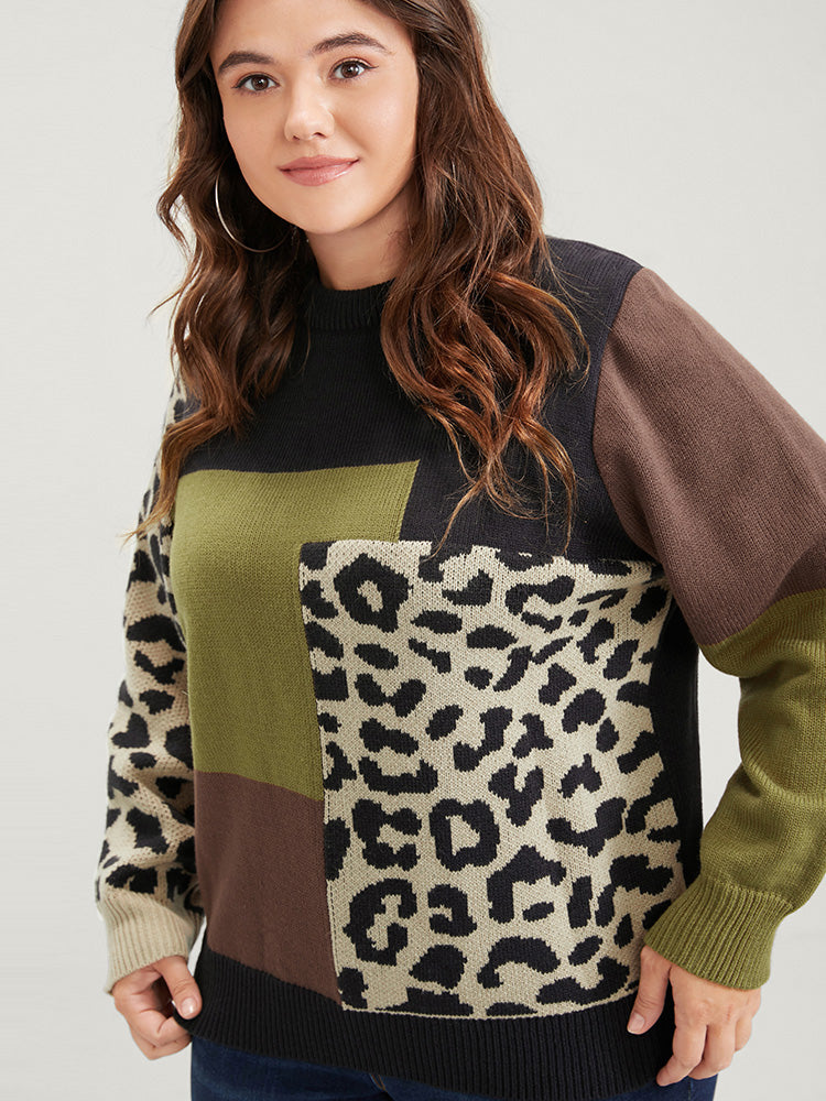 Colorblock Contrast Leopard Pointelle Knit Round Neck Knit Top