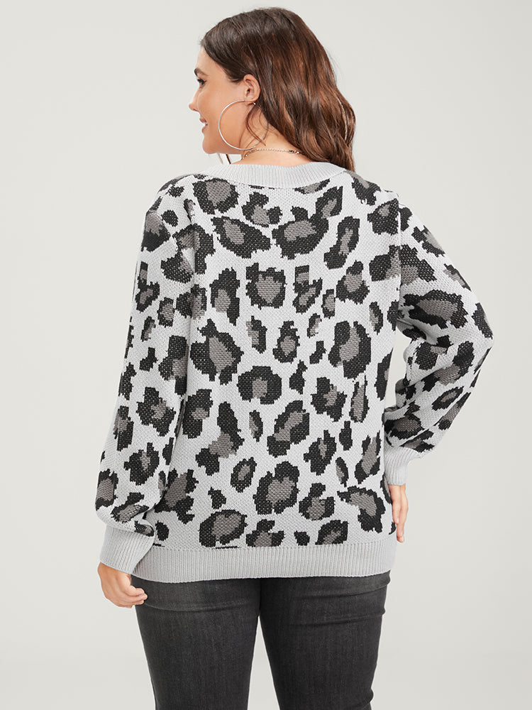 Leopard Pointelle Knit V Neck Jacquard Knit Top