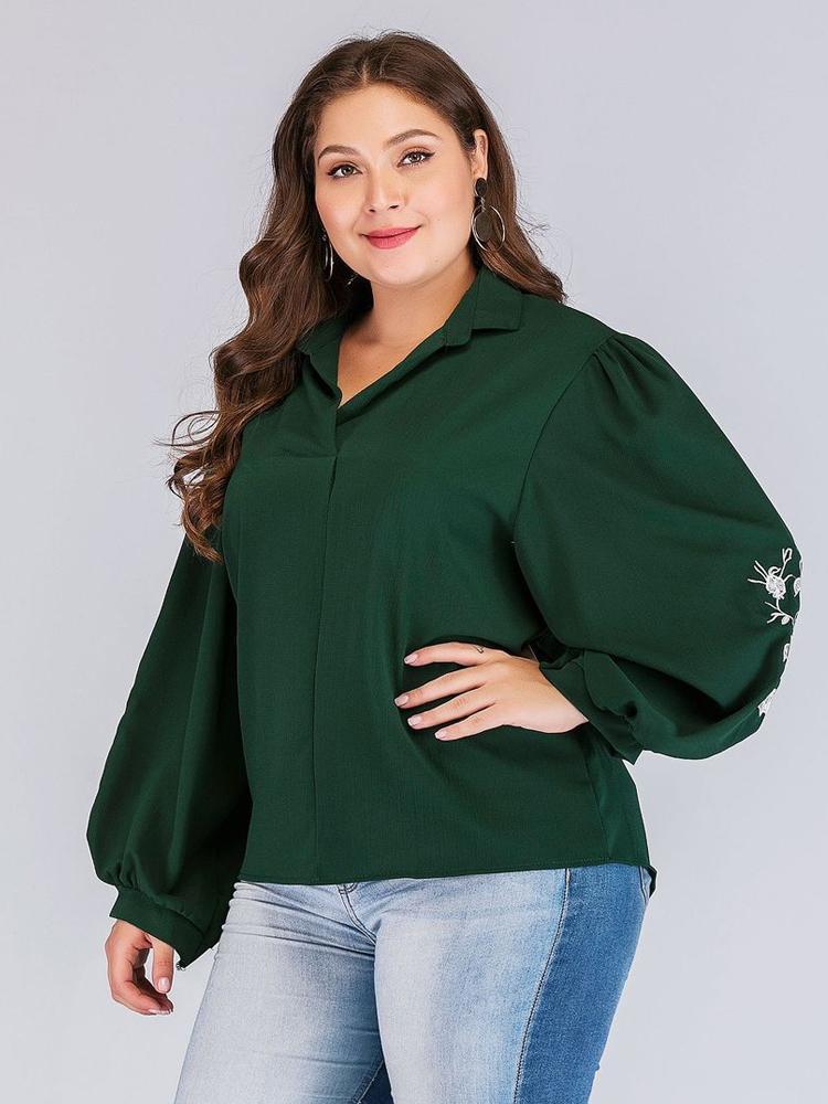 Embroidery Lantern Sleeve Lapel Shirt