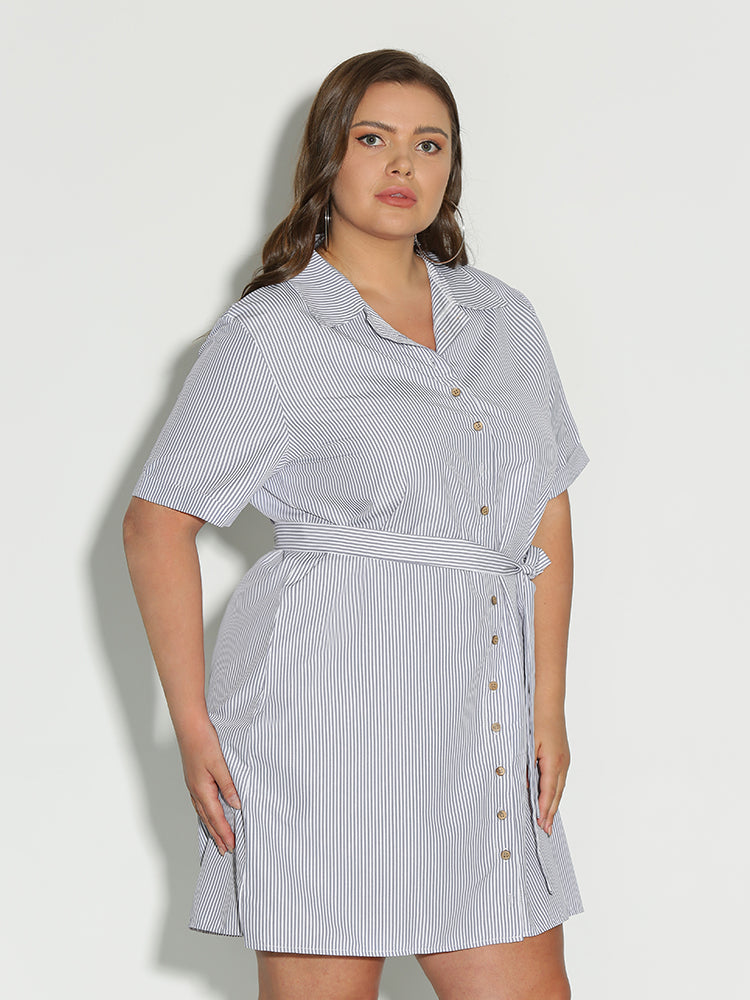 Button Collar Lapel Dress