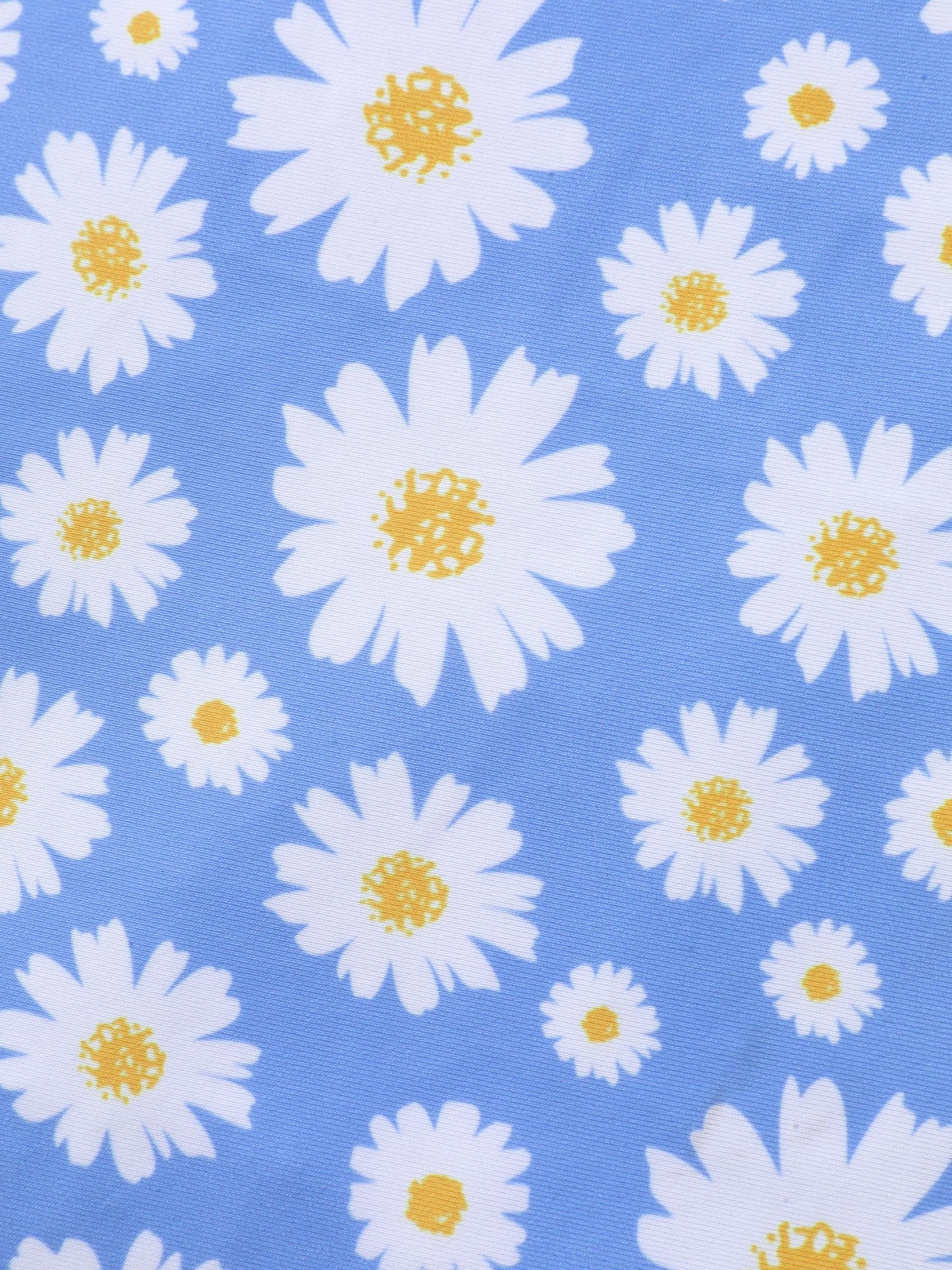 8ad50cf1-919a-49e9-83be-2786dd1e6779