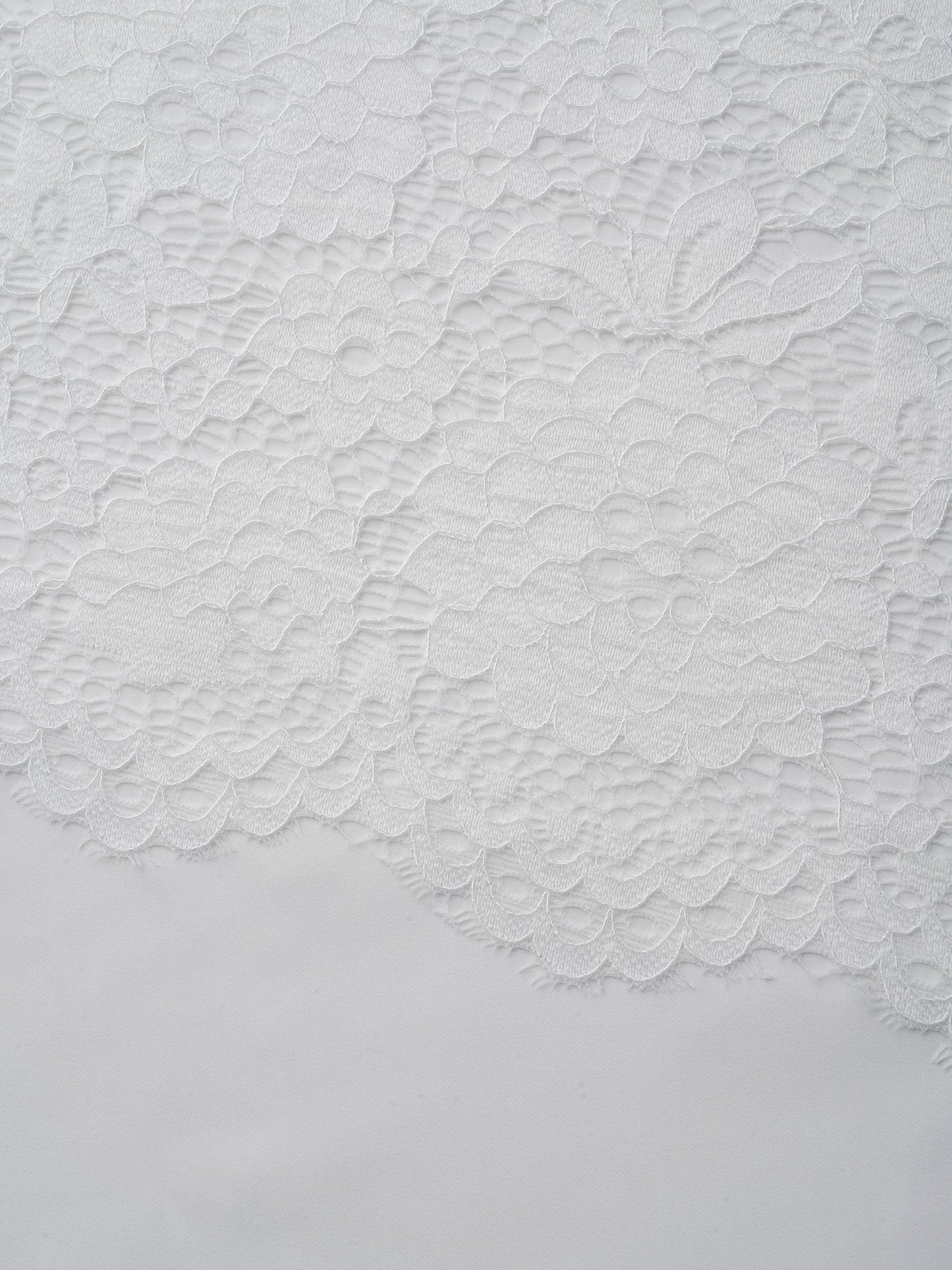 458a01ef-75ac-4baa-9f02-947367d1a87e