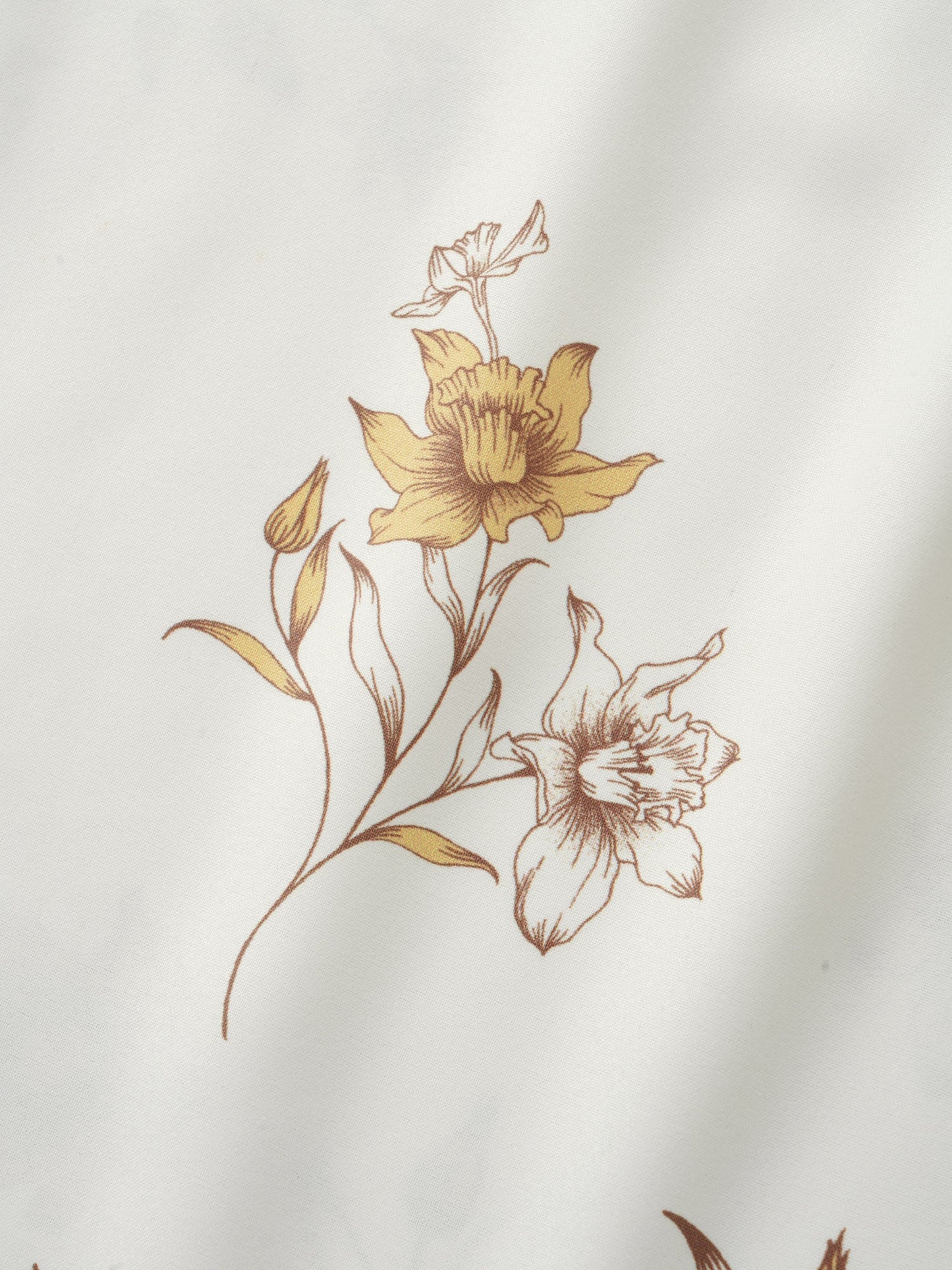 247f8fca-7ac7-49fb-8a12-9611d909a3a1