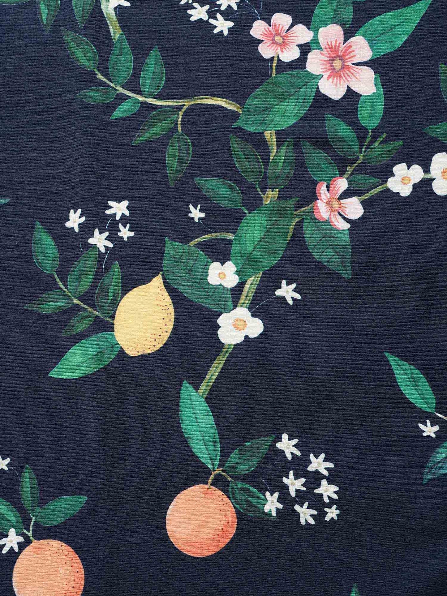 49e5e513-e6d2-4371-b446-791253b1f95b