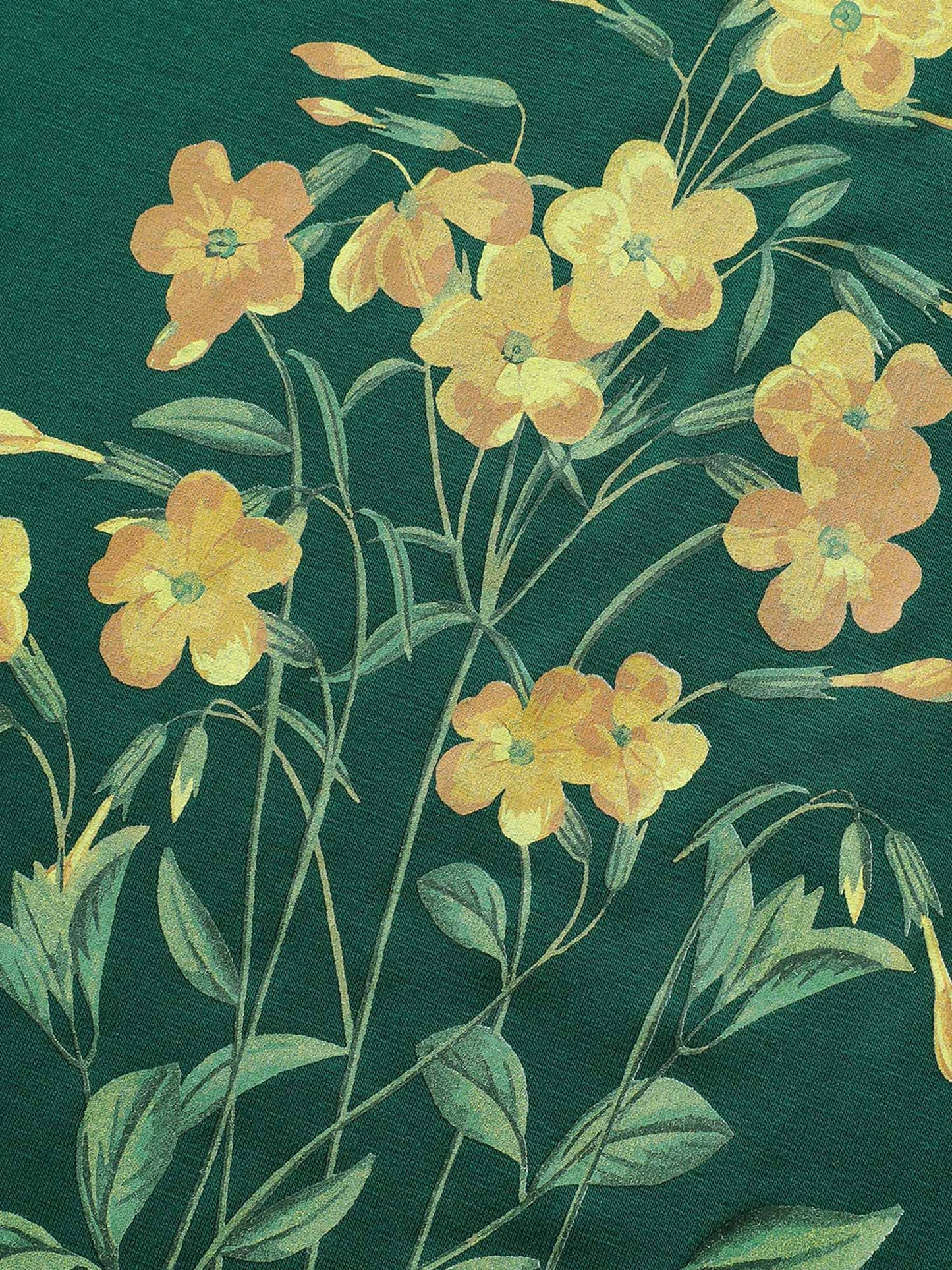 fecf6250-aa80-4989-af6f-6a2aaf2827d9