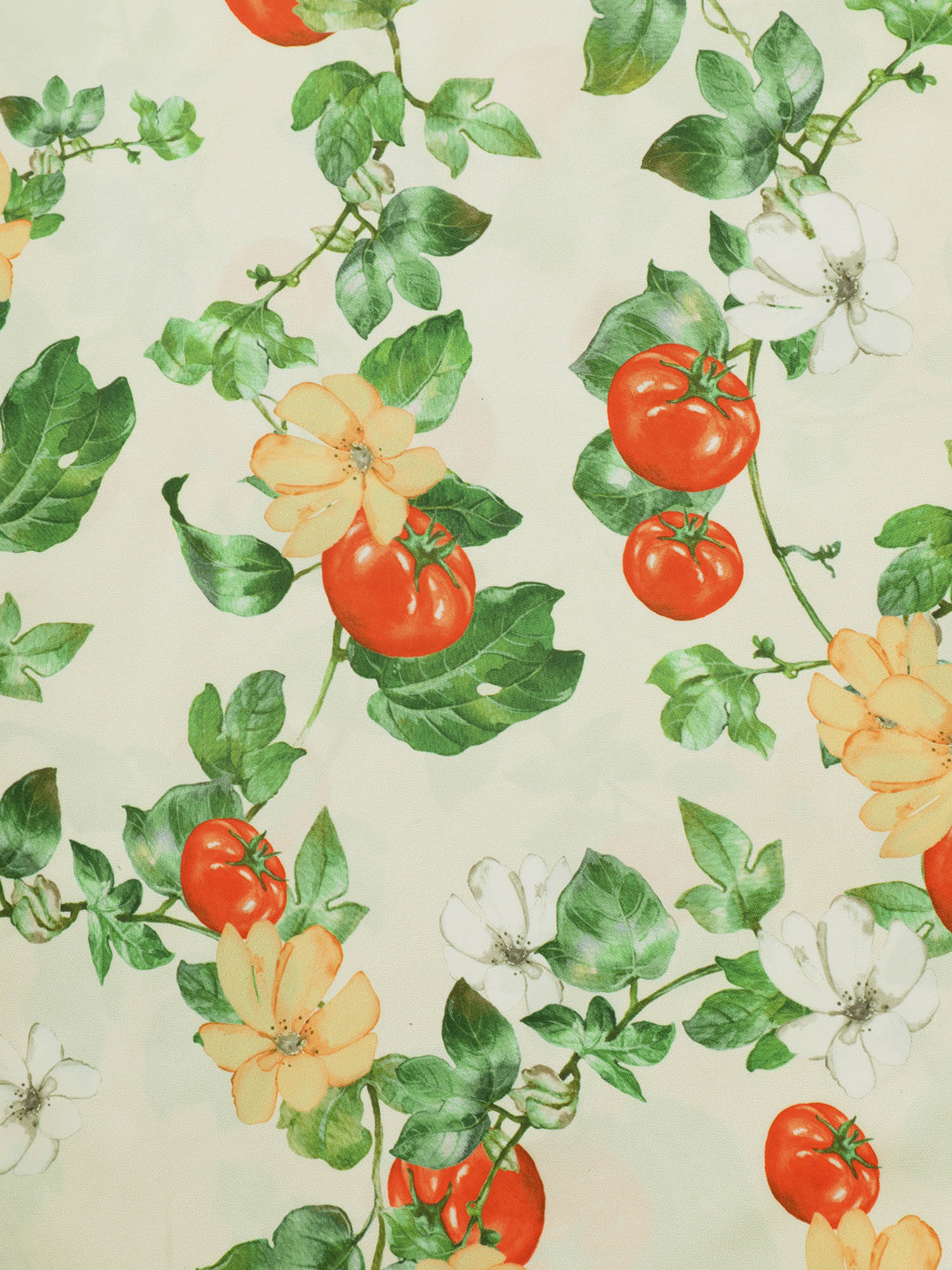 4f123580-9c86-40c7-84b4-c9c227e9da1c