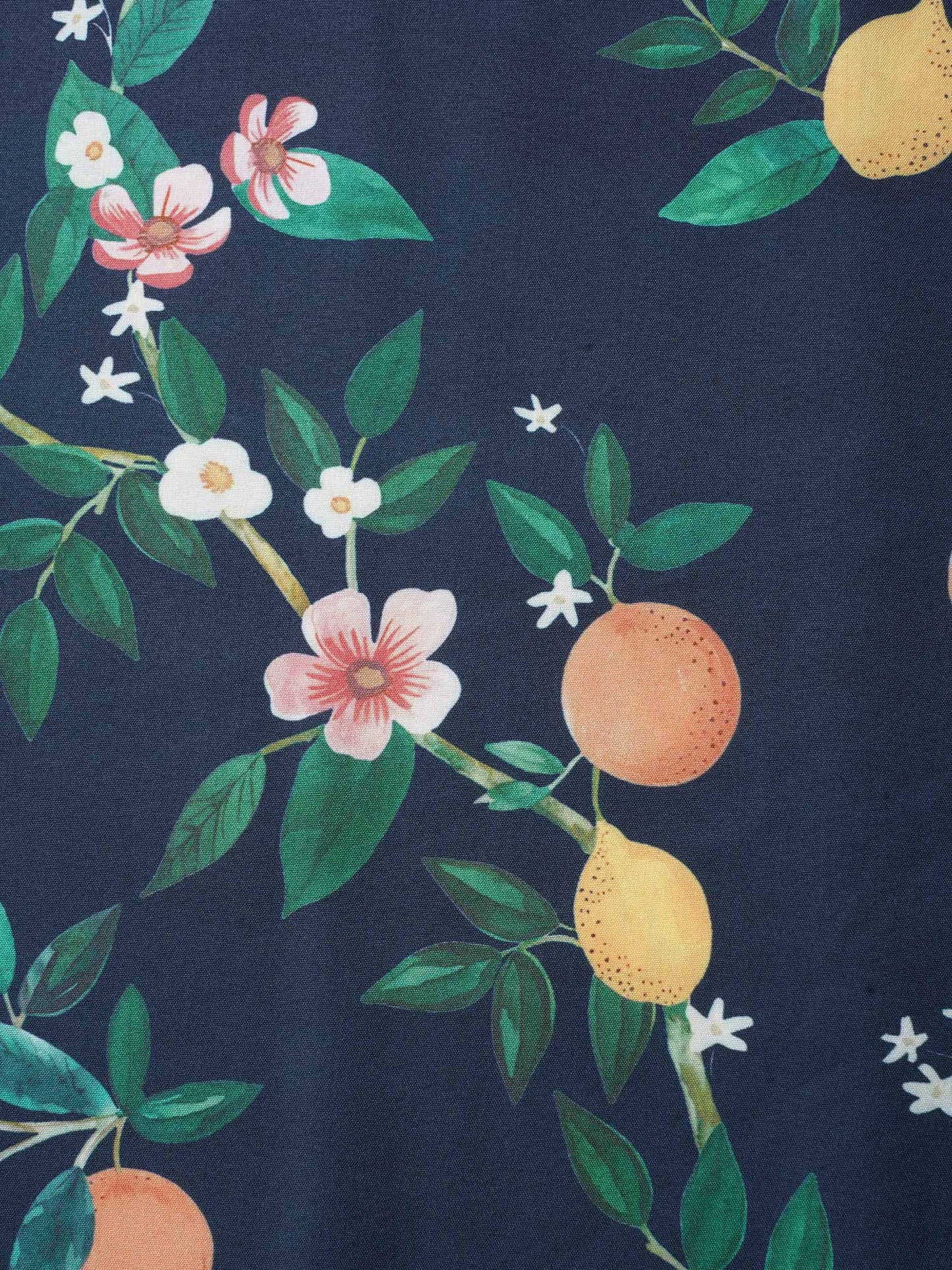 a0089263-c093-44ea-9aad-29f082b9e42f