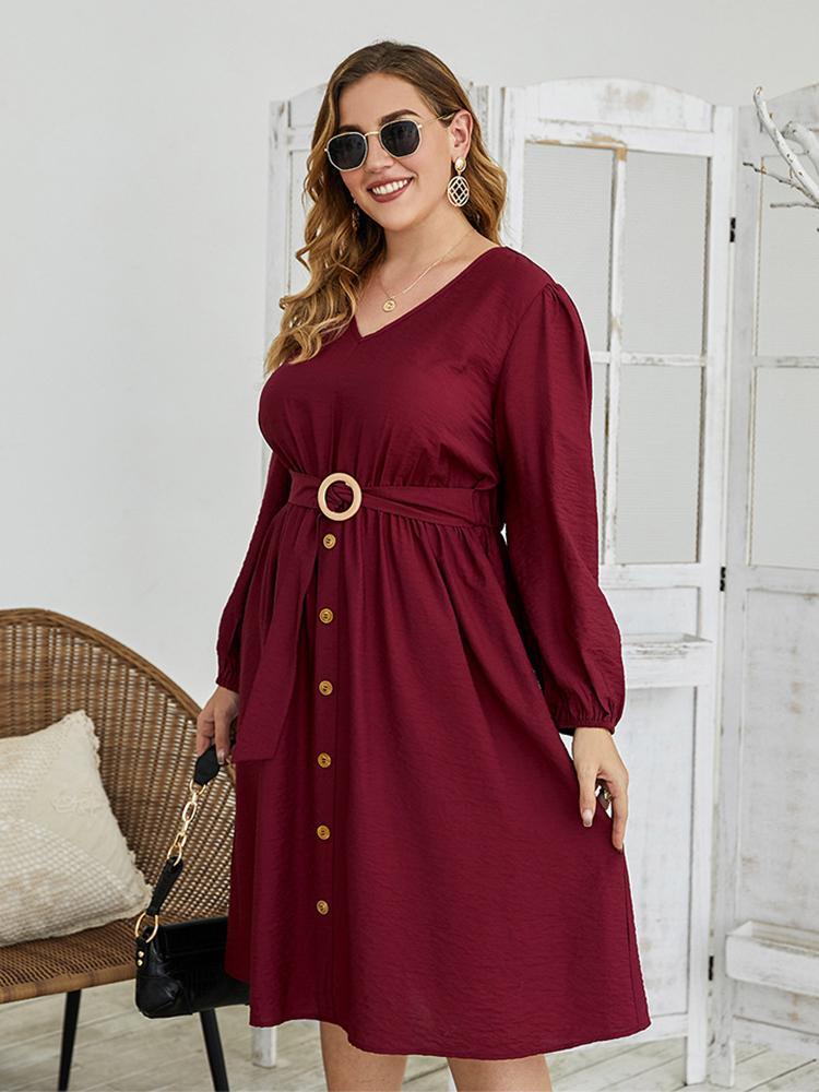 Belt Lantern Sleeve Commute Dress