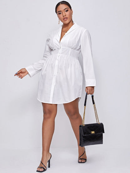 Shawl Collar Curved Hem Shirt Dress