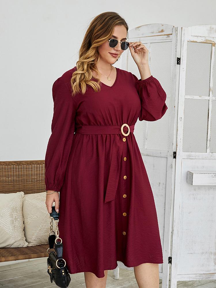 Belt Lantern Sleeve Commute Dress