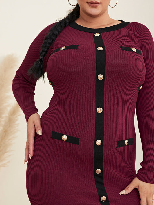 Button Front Color Block Sweater Dress