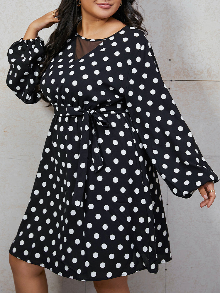 Polka Dot Mesh Knot Front Dress