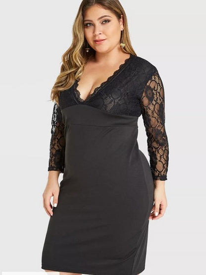 Petal V-neck Lace Dress