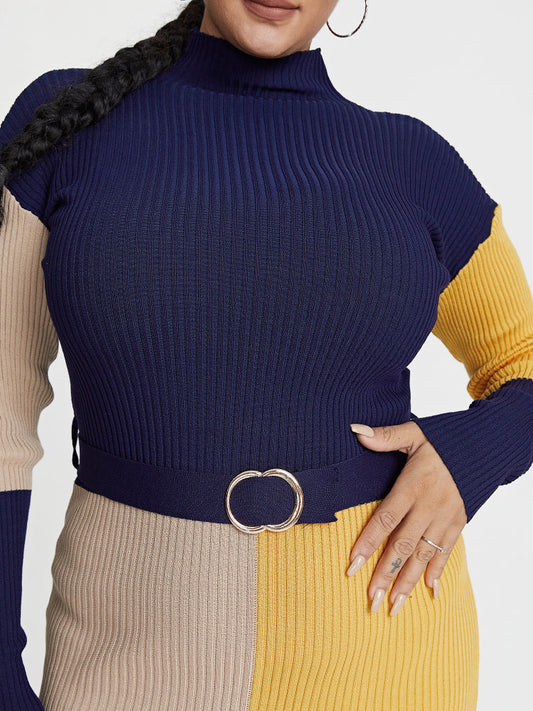 Color Block Sweater Dress Without Belt