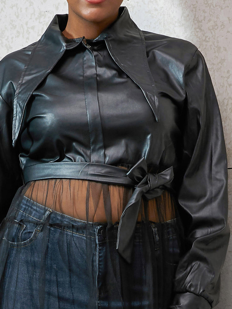 Patchwork Mesh Regular Dresses