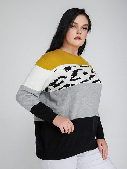 Contrast Striped Crew Neck Sweater