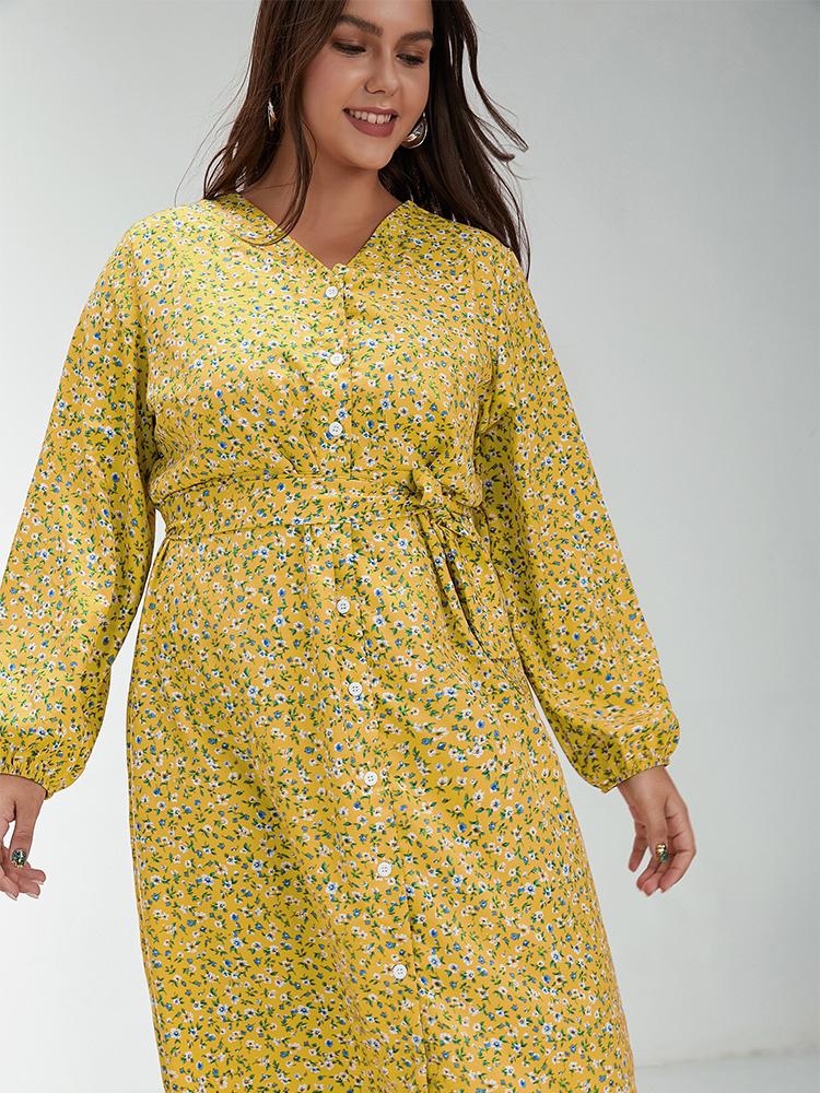 Ditsy Button Through Long Sleeve Dress