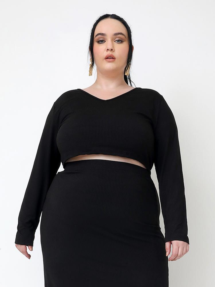 Solid V-neck Long-sleeved Crop T-shirt