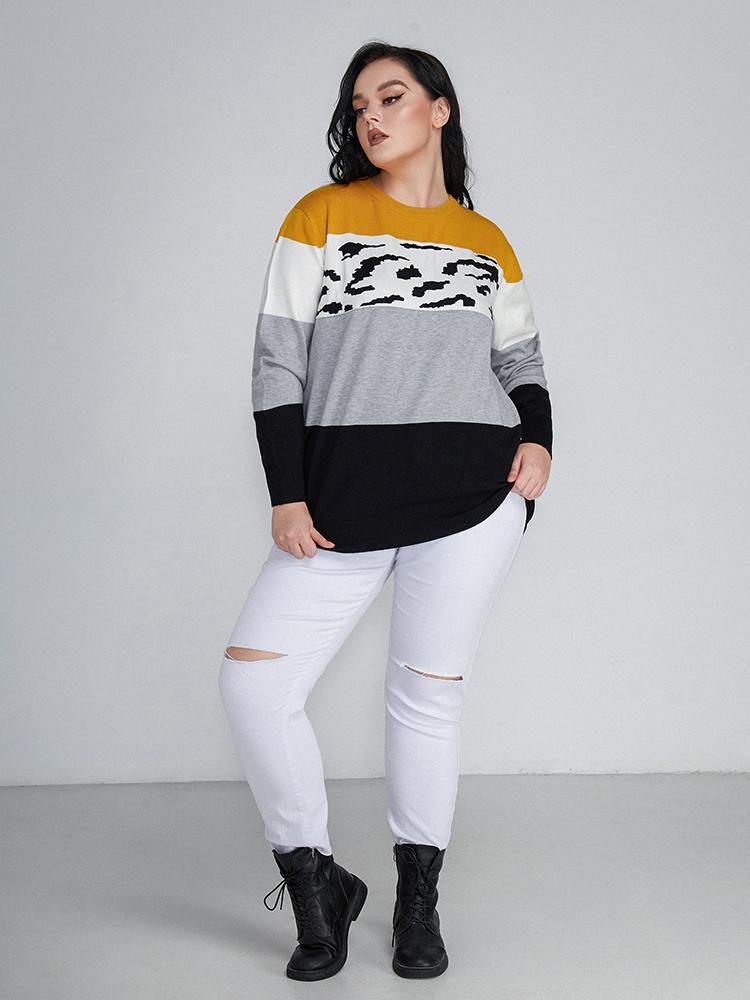 Contrast Striped Crew Neck Sweater