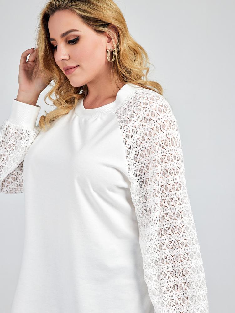 Lace Mesh Round-neck Top