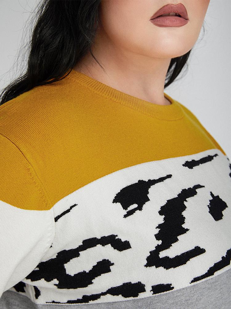 Contrast Striped Crew Neck Sweater