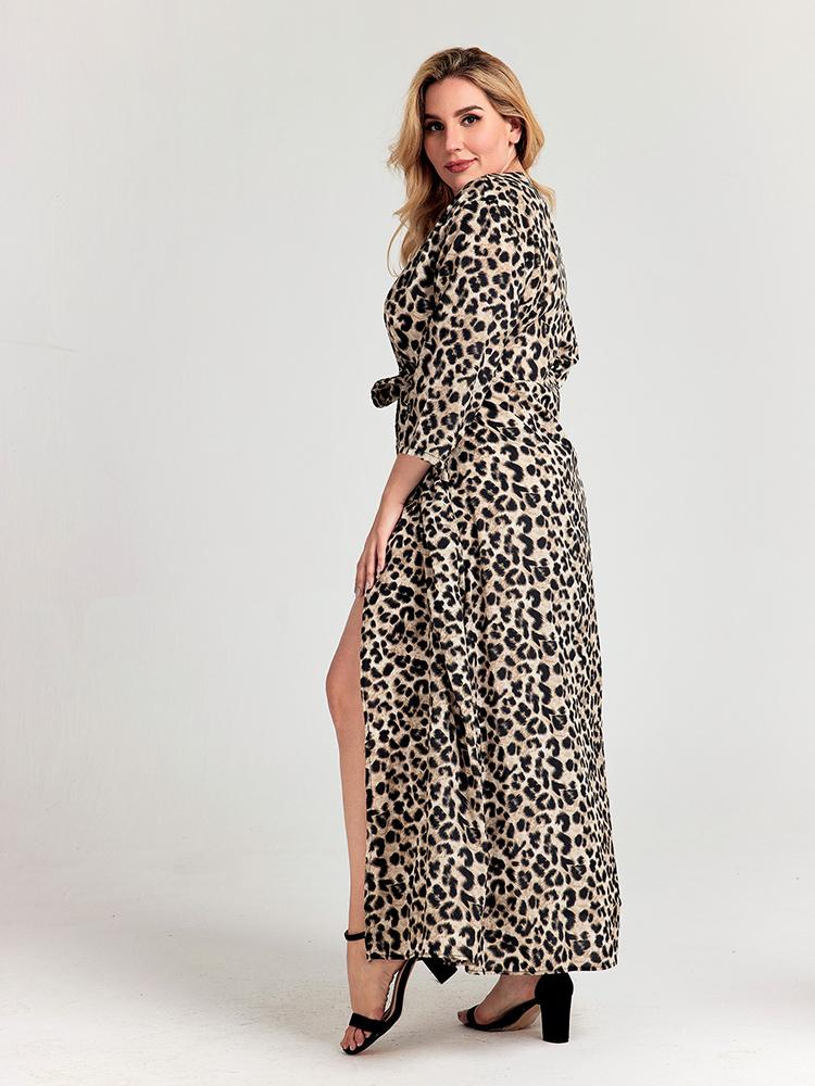 V-neck Leopard Dress