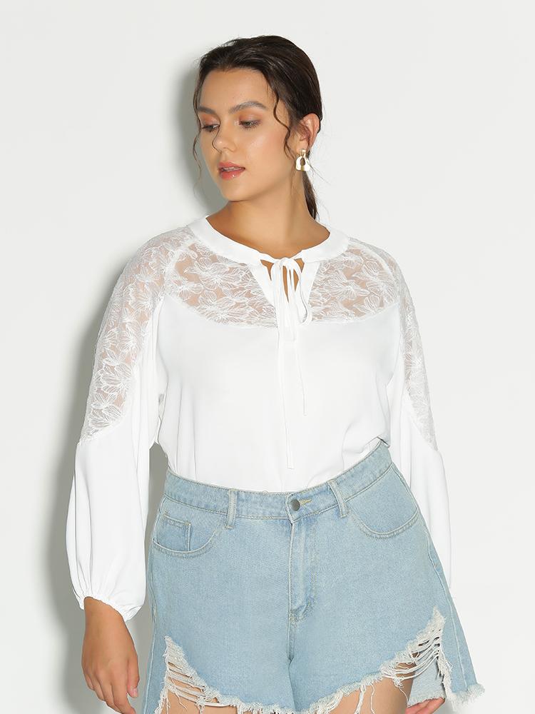 Lace Knotted Notched Blouse