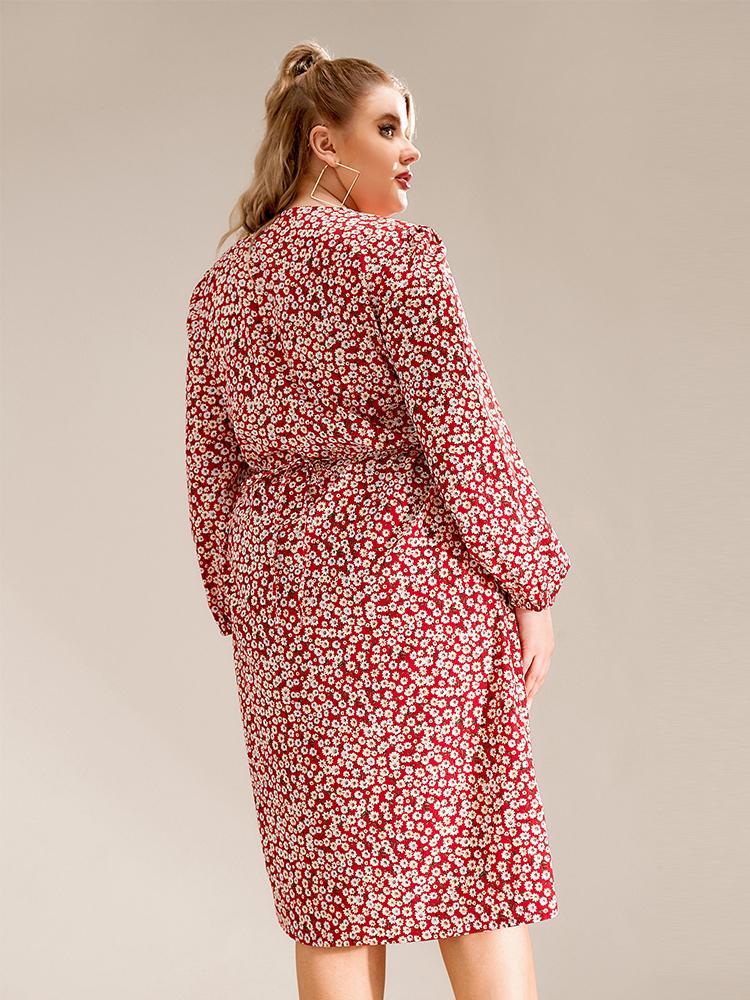 Ditsy V-neck Long-sleeved Dress