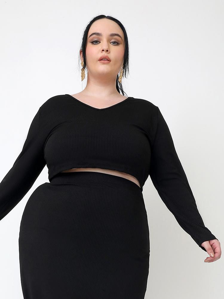 Solid V-neck Long-sleeved Crop T-shirt