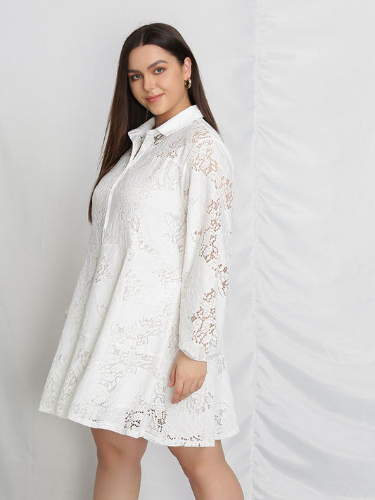 Collared Lace Dress