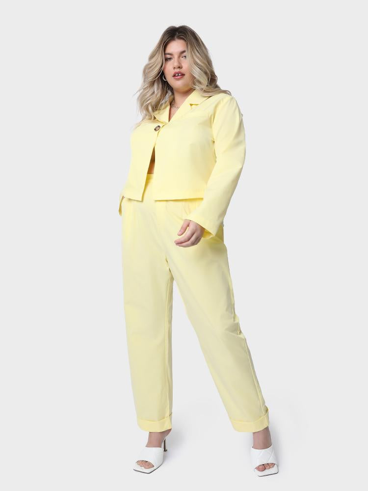 Solid Siut Collar Crop Tops