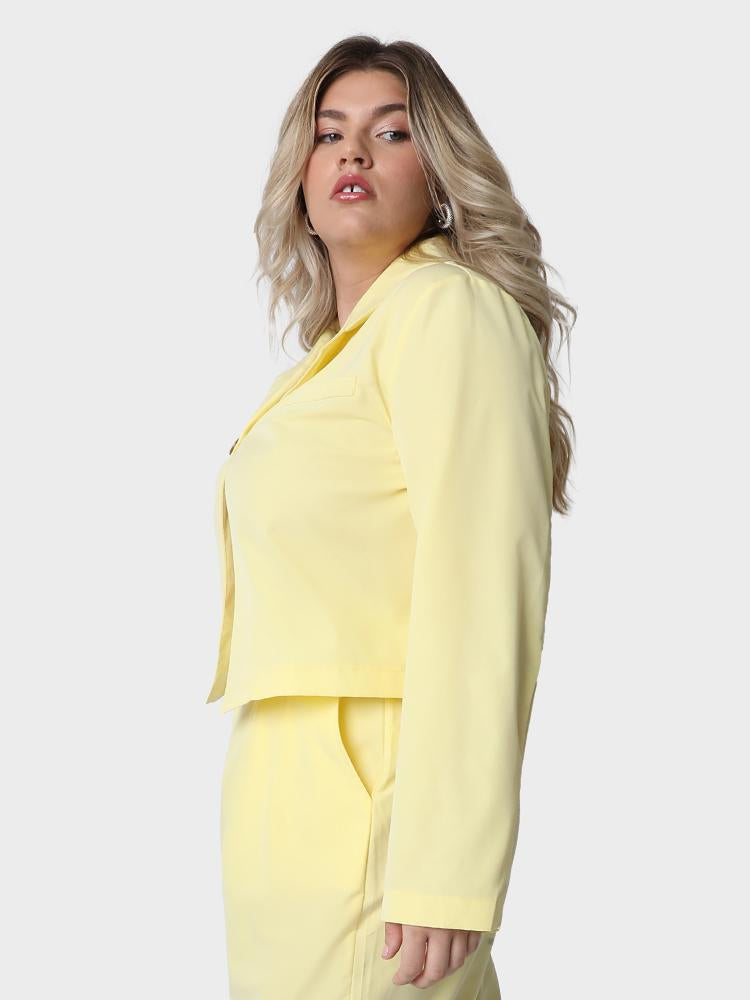 Solid Siut Collar Crop Tops