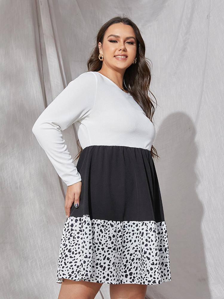 Leopard Print Color Block Dress